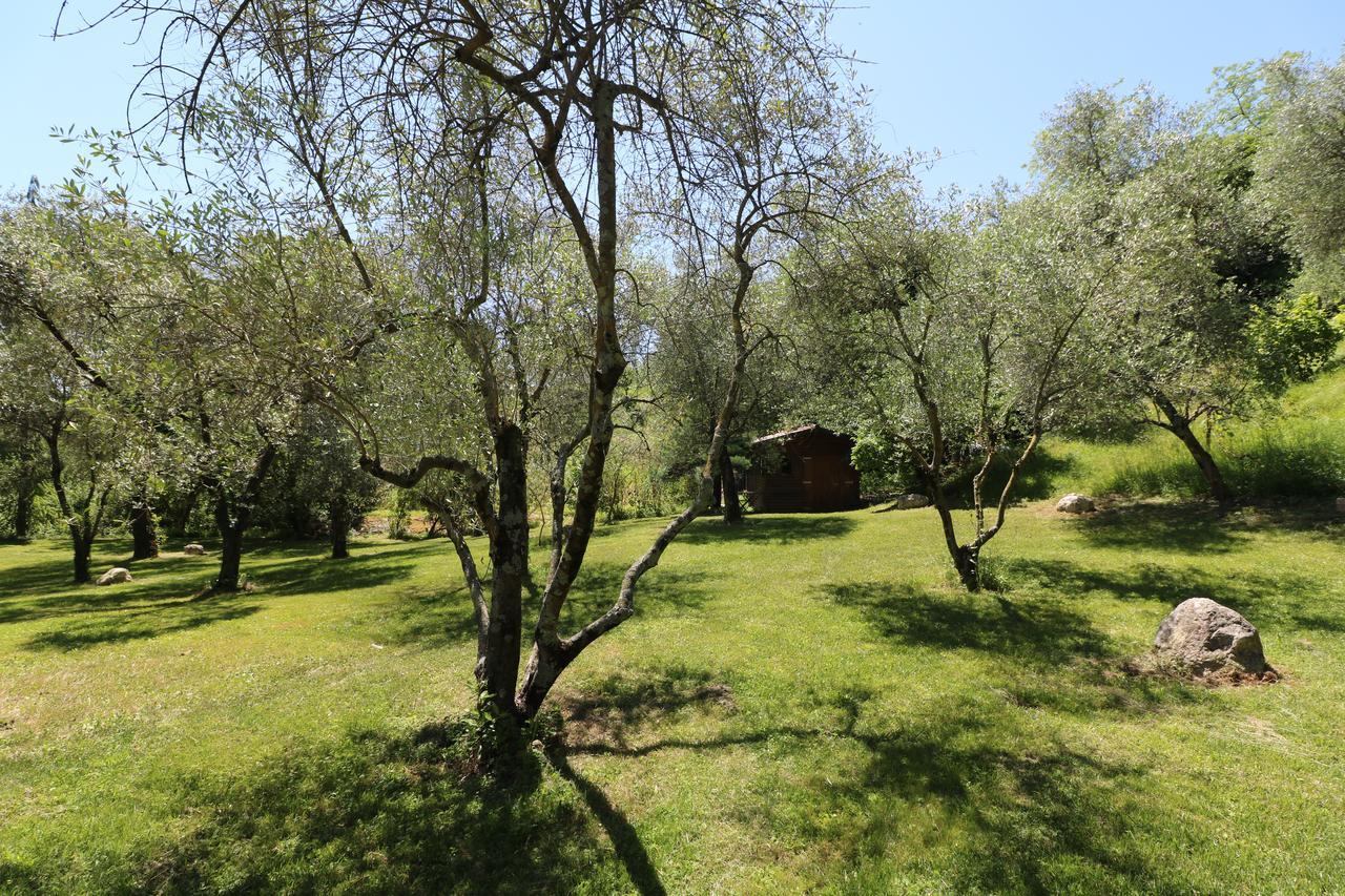 La Cascata Negli Ulivi Bed & Breakfast Toscolano Maderno Luaran gambar