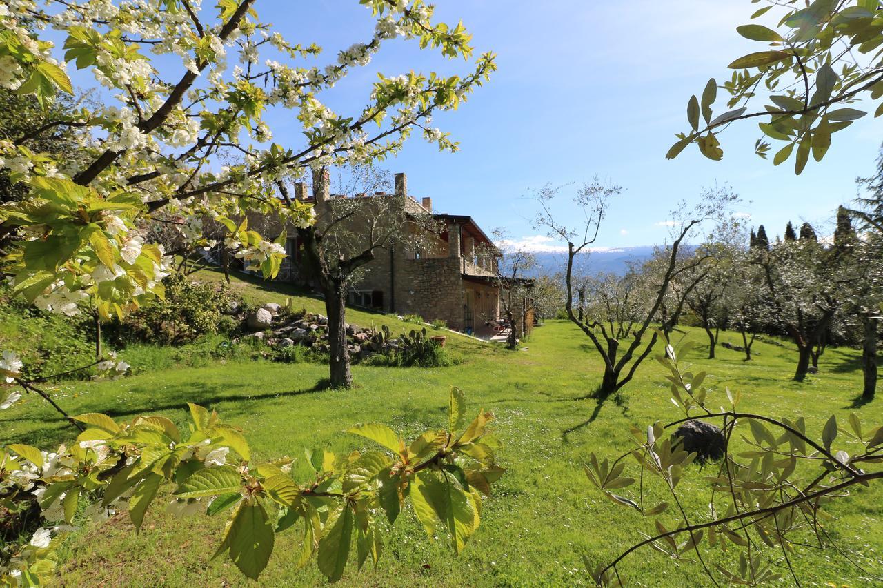 La Cascata Negli Ulivi Bed & Breakfast Toscolano Maderno Luaran gambar